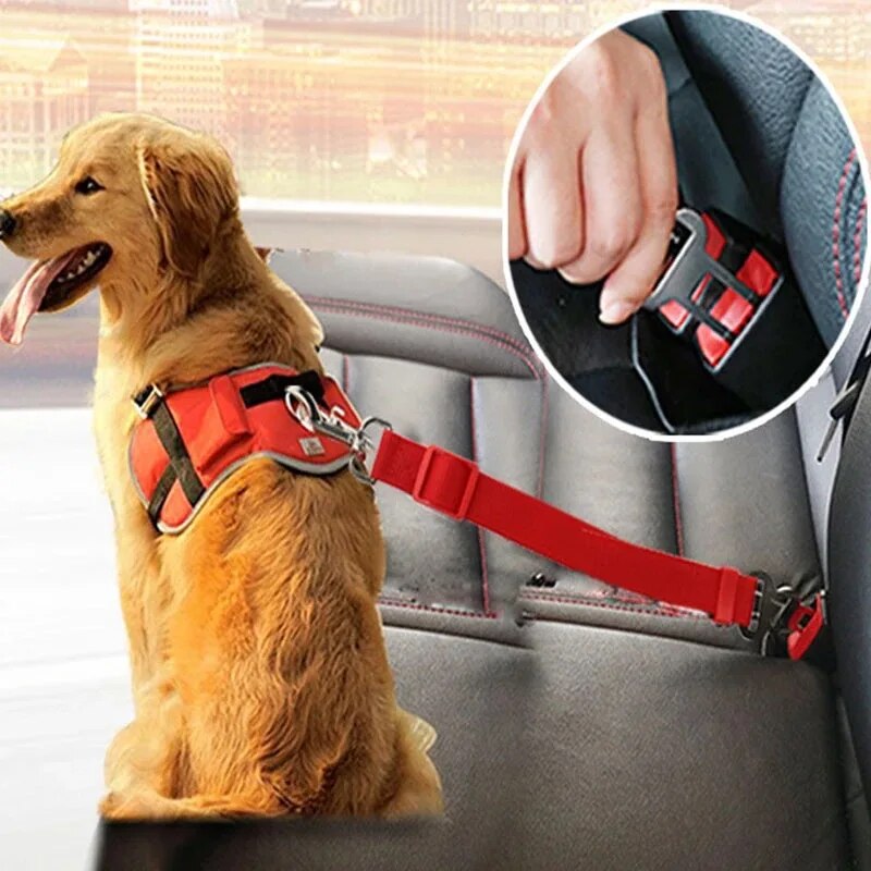 Safe-Pet Sicherheitsgurt für den Hund
